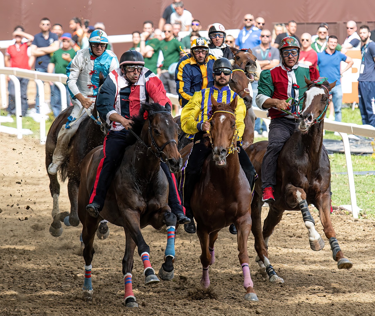 horses, race, horse race-7305149.jpg