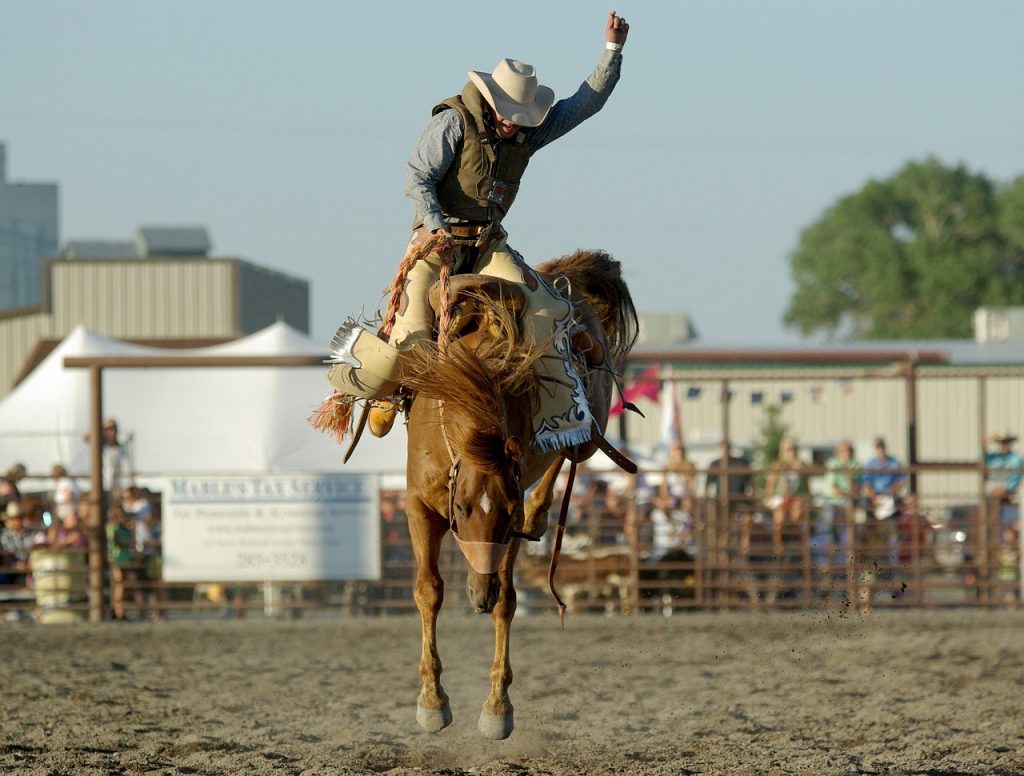 cowboy, nature, rodeo-1909926.jpg