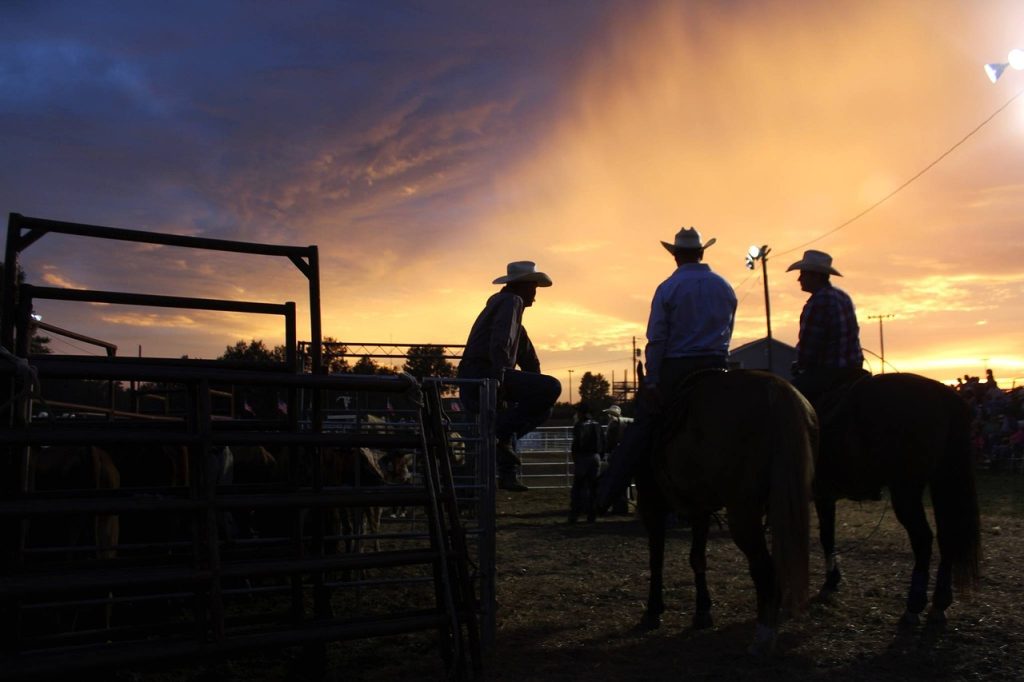 cowboys, rodeo, west-1001913.jpg